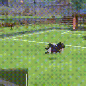 bug